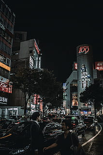 制作假山的入门技巧 假山制作方法教程