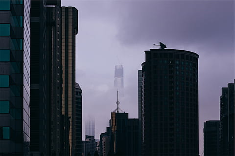 安信毒地板是怎么回事