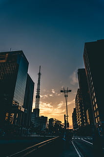 轩尼斯门窗品牌排第几 系统窗品牌10大品牌排行