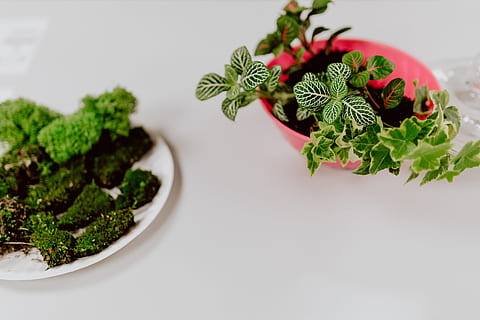 高档好看的桌布 大家能否推荐一些好看的桌布？