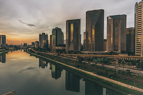 檀香木盆景怎么养 檀香木盆景怎么养