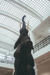装修客厅和餐厅的隔断 装修客厅餐厅如何进行隔断