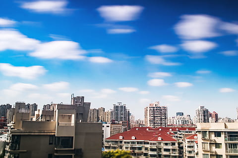 除甲醛比较有名的机构 除甲醛公司十大品牌
