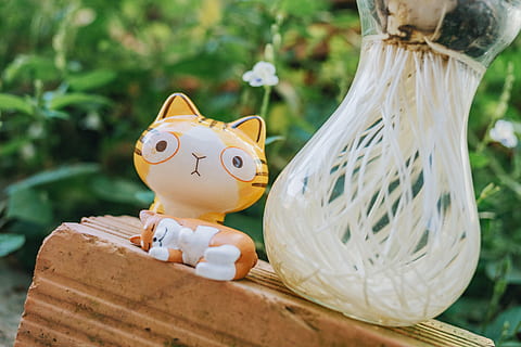 电梯房一楼能买吗 一楼的房子能买吗
