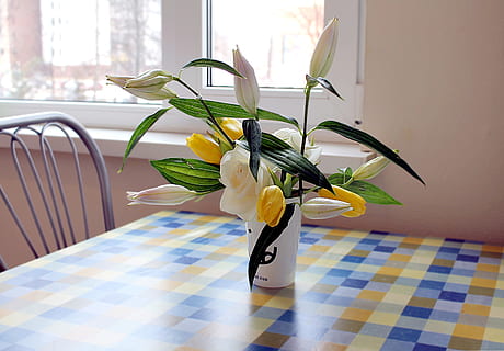 porcelaintile瓷砖产自哪里 polishedtiles是什么品牌瓷砖
