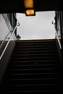 heel的意思 heel怎么读
