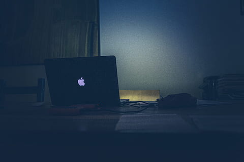 小叶紫檀盆景的养法 小叶紫檀盆景怎么养