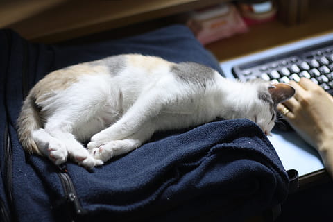 昆山本地生活有哪些平台 本地生活APP有哪些